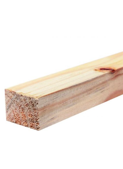 Ripa de Pinus